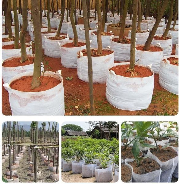 Growing Non Woven Tree Fabric Pots Grow Bag With Handle Root Container Plants Pouch Seedg werpot Garden Bags