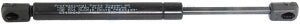 Gas Spring, boot-cargo area Professional Parts 83438640