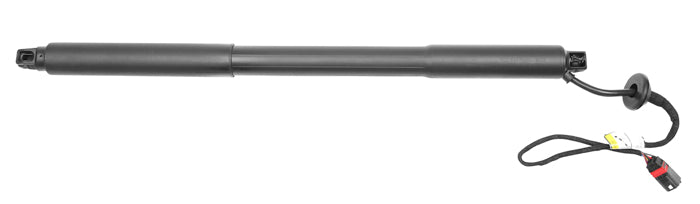 Gas Spring, boot-cargo area Professional Parts 83439627