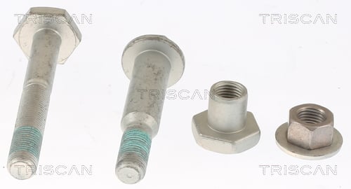 Repair Kit, wheel suspension TRISCAN 8500 25403