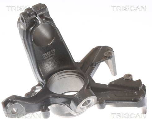 Steering Knuckle, wheel suspension TRISCAN 8500 29701