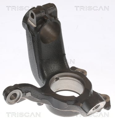 Steering Knuckle, wheel suspension TRISCAN 8500 29721