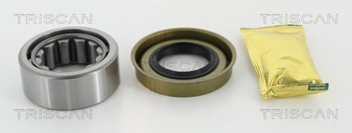 Wheel Bearing Kit TRISCAN 8530 16268