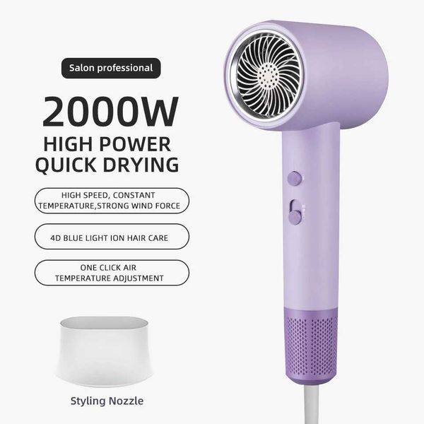 Hair Dryers High Speed Hair Dryer Professional High Power Blow Dryer Salon Electric Dryer Styling Tools Negative Ions 2000w Quick Drying G24