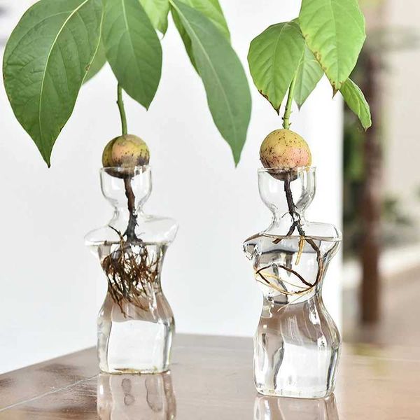 Vases Transparent Glass Body Vase Avocado Seed Starters Vase Seed Growing Kit Avocado Vase For Gardening Lovers Home Decor H250116