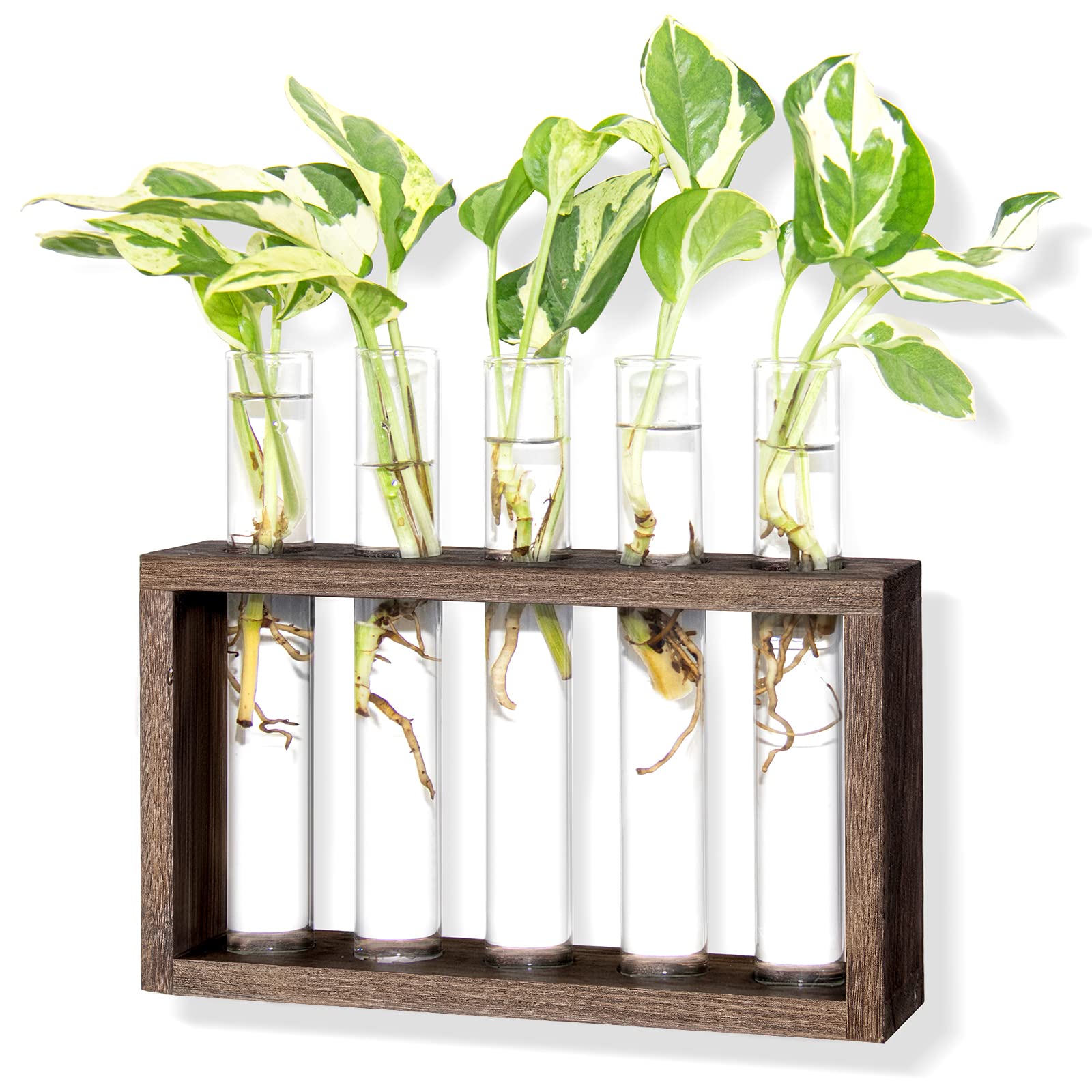 TEMU 1pc Wall Mounted Hanging Plants Terrarium Test Tube Flower Bud Tabletop Glass Wooden Stand With 5 Test Tube Perfect For Propagating Hydroponic