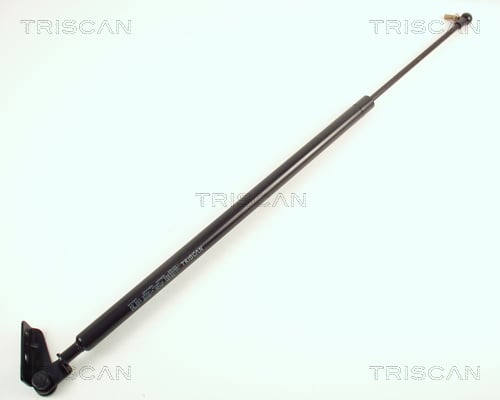 Gas Spring, boot-cargo area TRISCAN 8710 50201