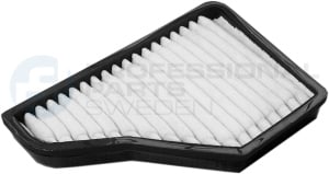 Filter, cabin air Professional Parts 87250060