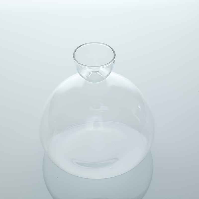 TEMU 1pc Glass Avocado Vase, Avocado Seed Starter Vase, Glass Propagation Vase, Plant Vase Gift For , Round Clear Container For Avocado And Walnut