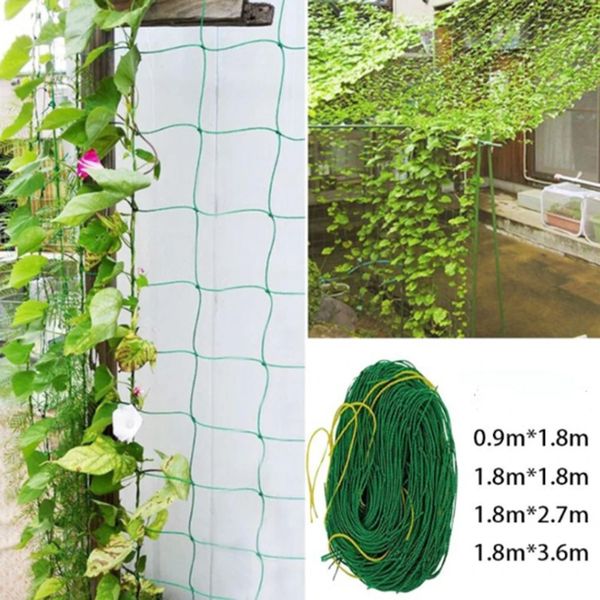 Trellis Plant Support Mesh Net Fence Tent Climbing Veggie Pea Bean Fruit Garden 250207
