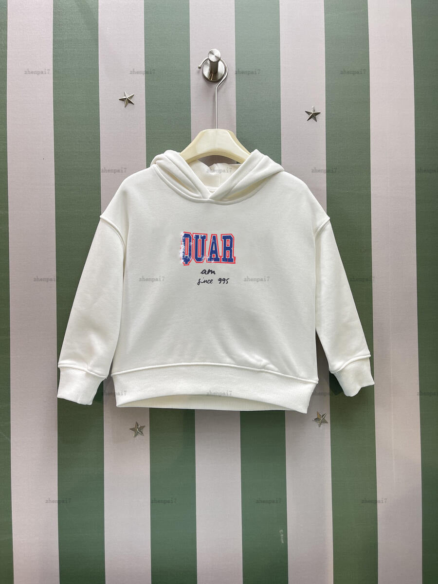 Top kids hoodie Three-dimensional letters child pullover designer baby clothes girls boys sweater A788X22N204