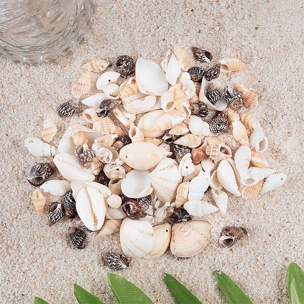 Spiral Shell Pendants-Beads