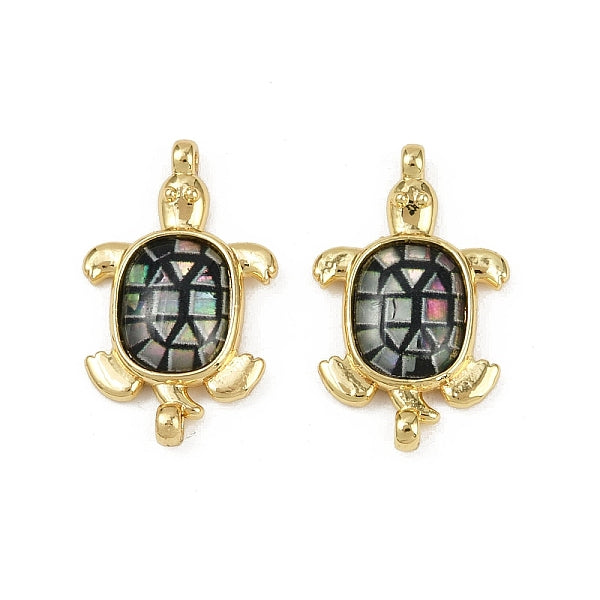 Messing Pavé natürliche Paua Muschel Schildkröte Verbinder Charms