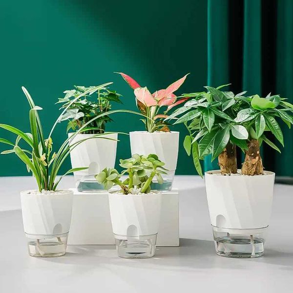 Planters Pots Lazy Green Luo Plant Automatic Water Absorbing Small Flower Pot Design Sensory Transparent Hydroponic Plastic Pot Device H2412