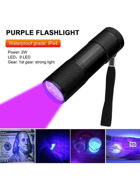Mini Flashlight with Rope Professional Purple Light Anti-Skid 395nm Backlight Portable Ultraviolet Torch GadgetsT250115