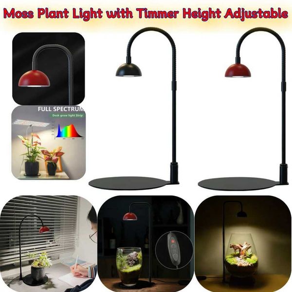 Indoor Plant Growth Lamp with Timmer Full Spectrum Plant Lamp Small Plants Growth Light for Desktop Glass Plant Terrarium X250205