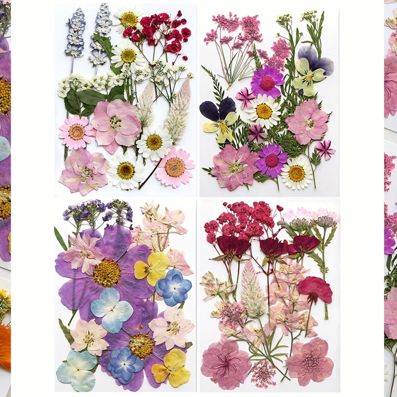 TEMU 71pcs Dried Flowers For Crafts Real Natural Dried Pressed Flowers In Soft Purple, White & Pink Tones For Resin, Diy Art, Jewelry, Candle & Soap