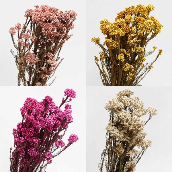 Dried Flowers Real Dried Flowers Wedding Plants Party Arrangement for Decoration and Table Accessories Home Decor Natural Dry Flower R240722