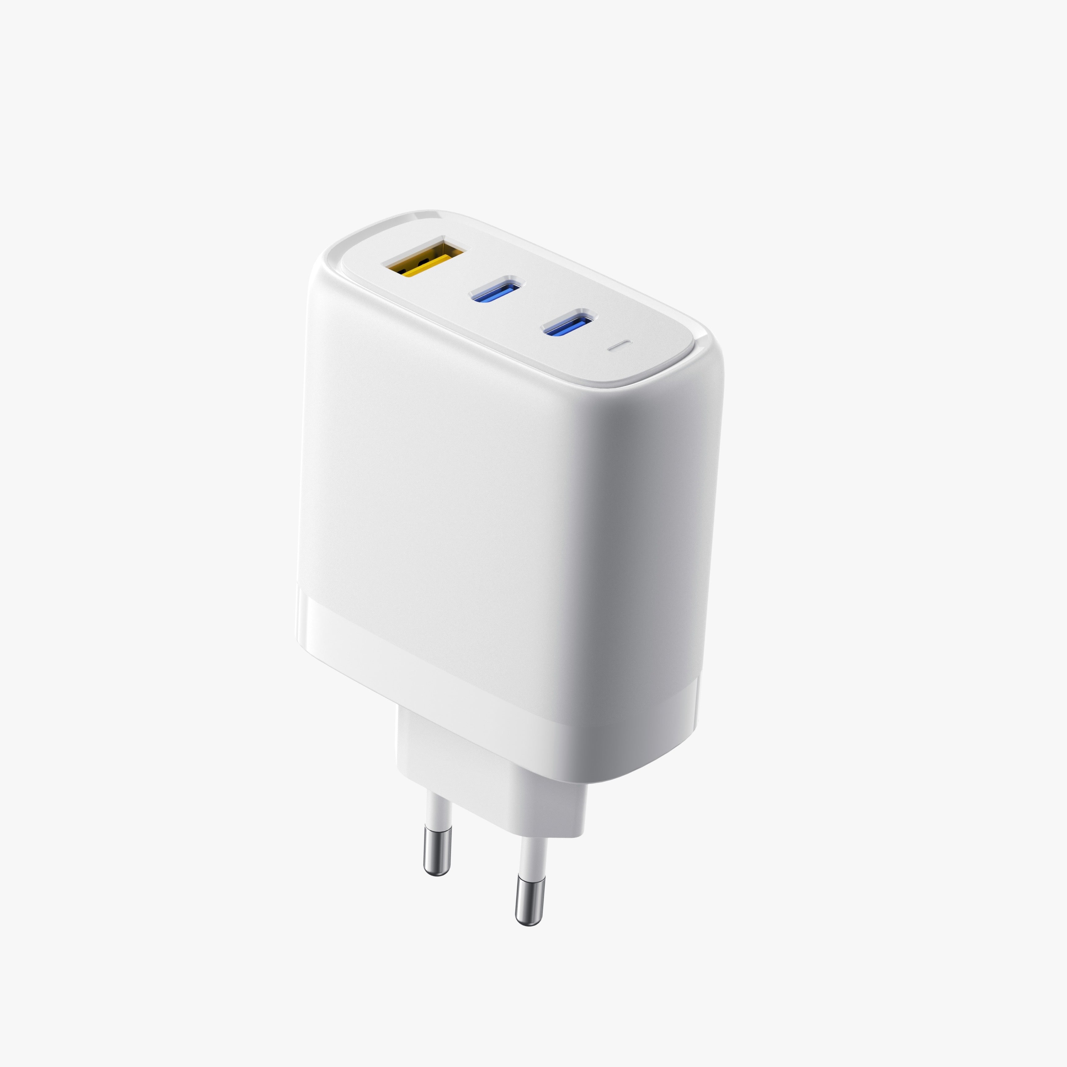 EU Compliant Customizable 65 Watt Power Delivery (PD) Fast Charging Hub for USB Type C Gadgets 3 mouths (2C1A) - RY0651-3E