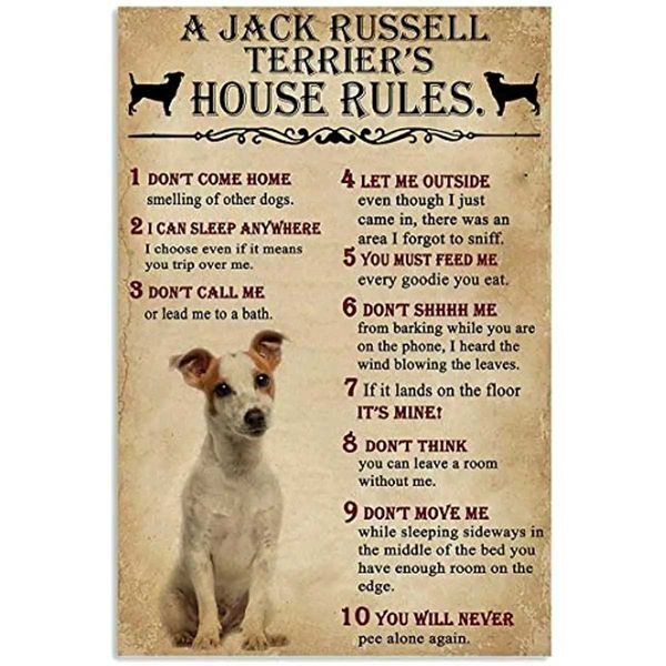 High Quality Vintage Metal Sign A Jack Russell Terriers House Rules Tin Sign for Bar Cafe Club Wall Decoration Plaque Art Iron Painting T250
