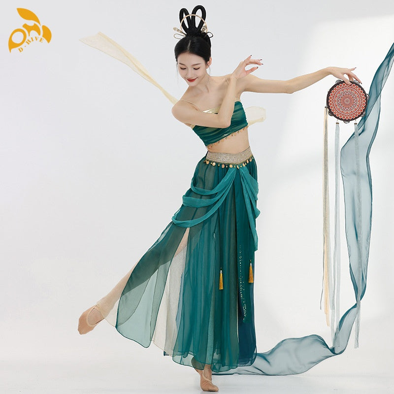 Women Dress D.Hive classical dance costumes practice costumes Chinese style Chinese dance performance costumes with multi-piece skirts