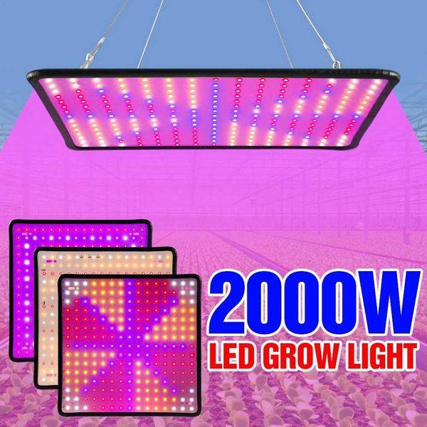 LED Full Spectrum Phytolamp For Plants Grow Light Indoor Flower Seeds Hydroponics Cultivation Phyto Lamp Quantum Board LED Light Y240816