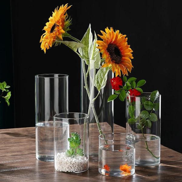 Glass Cylinder Vases Clear Flower Vase Terrarium Planter Wedding Centerpieces Arrangement Hydroponic Plant Pot Home Decor 250116