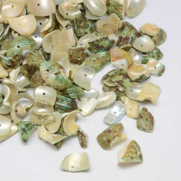 Dyed Natural Spiral Shell Chips Beads