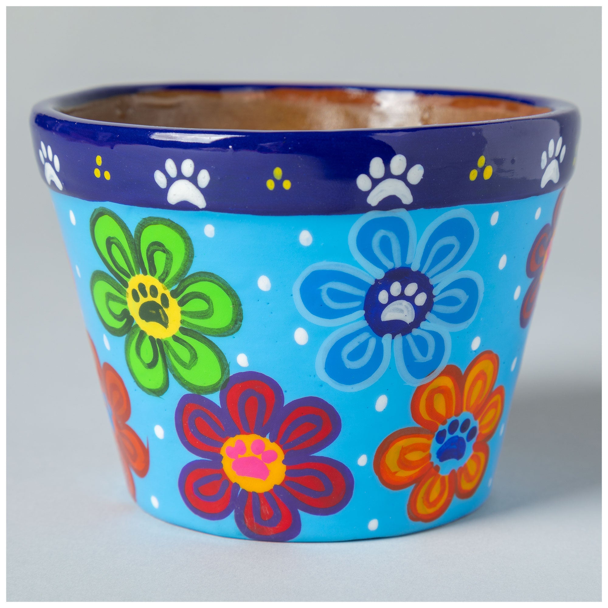 Hand Painted Paws & Flowers Ceramic Small Planter - Blue - Pot Only