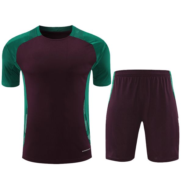 24 25 jacket Soccer Jersey Tracksuits uniform green 2024 Football Shirts Survetement uniform jogging coat