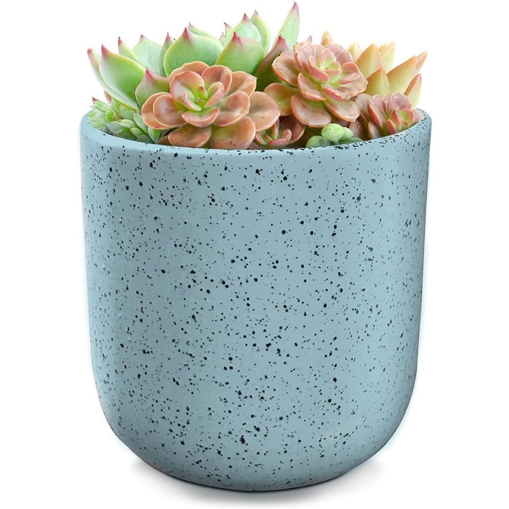 Indoor/Outdoor Speckled Ceramic Pot for Plants - 5.75'' - Teal