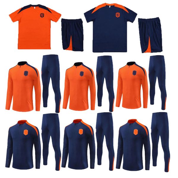 Netherlands tracksuits 2024 2025 mens kids football tracksuit kits 24 25 ALVAREZ TADIC BERGWIJN men and boys soccer training kit shirts suit