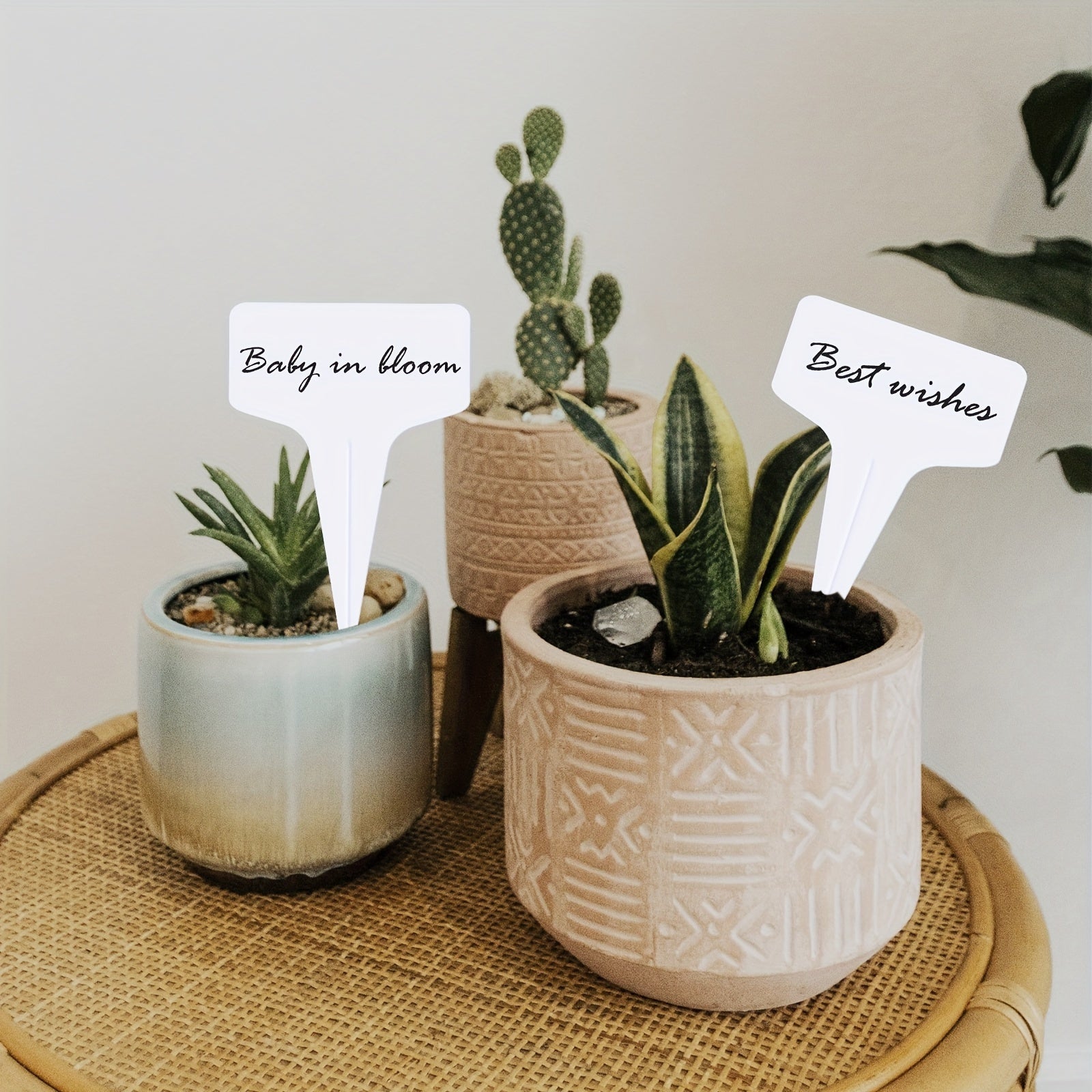 TEMU Durable T-shaped Garden Plant Labels, Reusable Waterproof Tags For Nurseries, Flowers, And Potted Plants - Sturdy Outdoor Gardening Tools