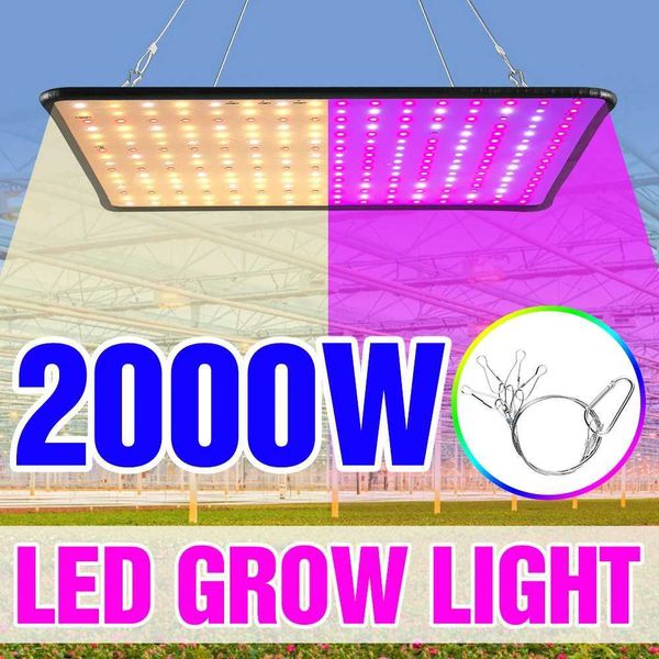 New Arrival 1000W Growth Lamp LED Full Spectrum Lamp 1500W 2000W LED Plant Lamp Bulbs Greenhouse Indoor Plant Lamp Growth Tent US EU UK Plug