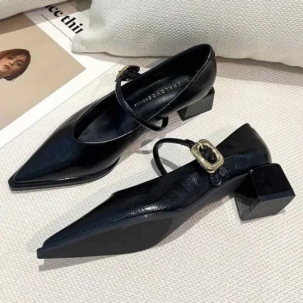 2024 Spring Style Pointed Toe Versatile Style Single Shoes Square Heel Womens Shoes Medium Professional Dress French High HeelsC241012