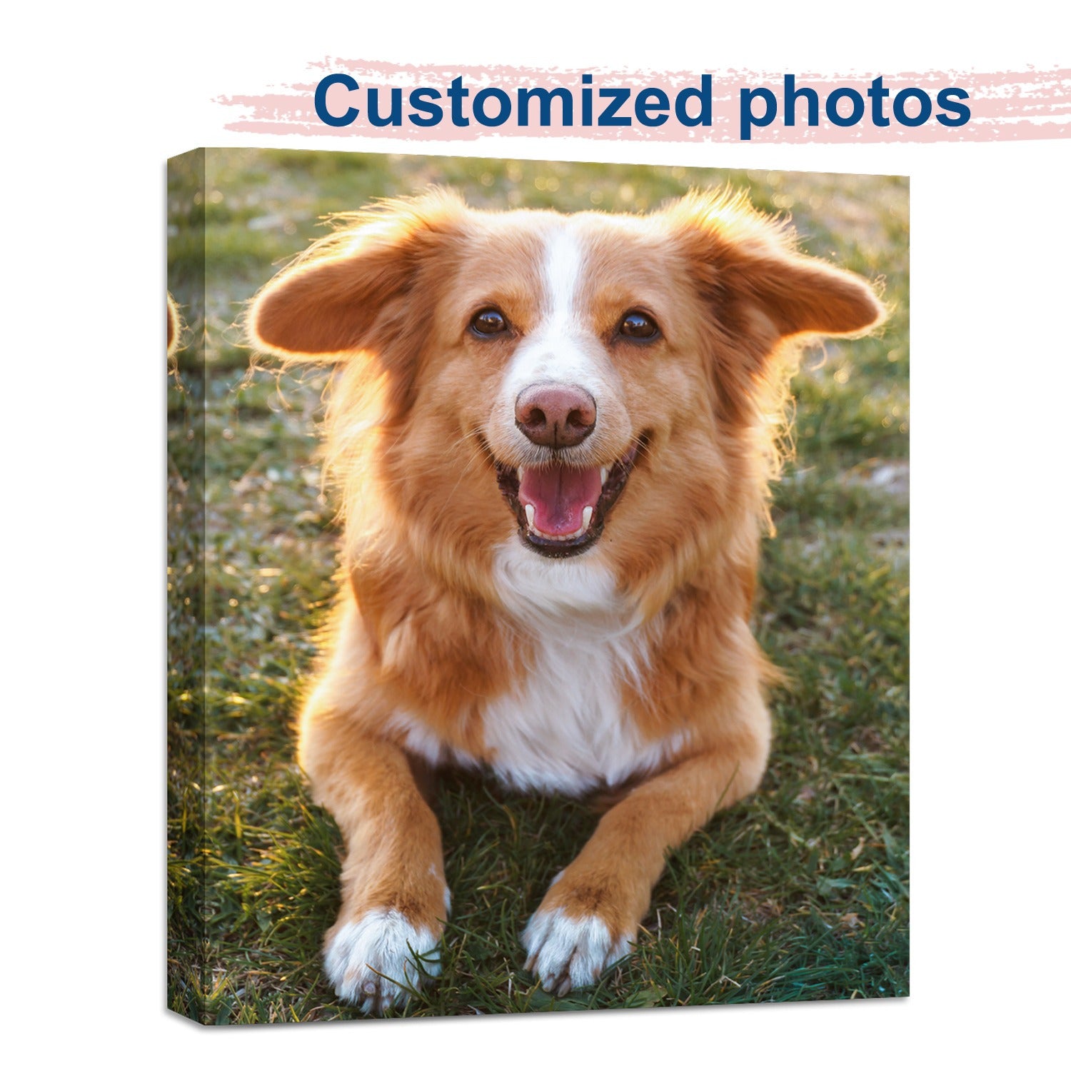 TEMU 1pc Custom Canvas Printing With Your Photo, Personalized Wall Decor, Suitable For Family, Pets, And Weddings, Ready To Hang.