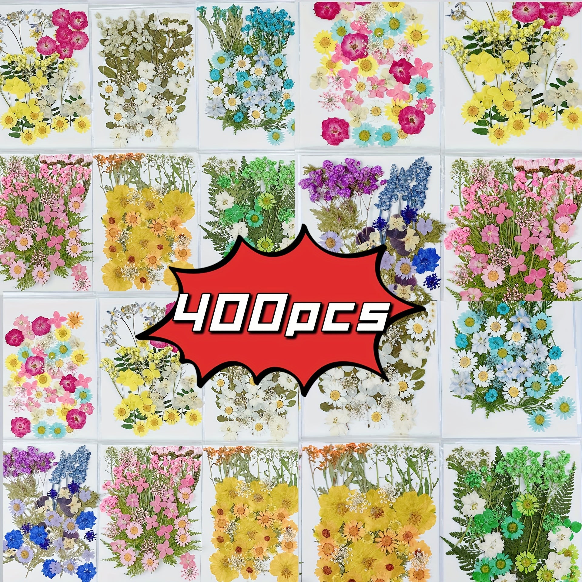 TEMU 400pcs Dried Flower Real Plant Material Handmade Crafts Embossing Kit Diy Dried Flower Phone Case, Coaster, Photo Frame Dried Flower Facial