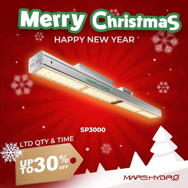 New Arrival! Mars Hydro SP 3000 LED Grow Light LED Chips Indoor Plants for Veg Flower Commercial Growing 2x4 ft for grow tent X250205