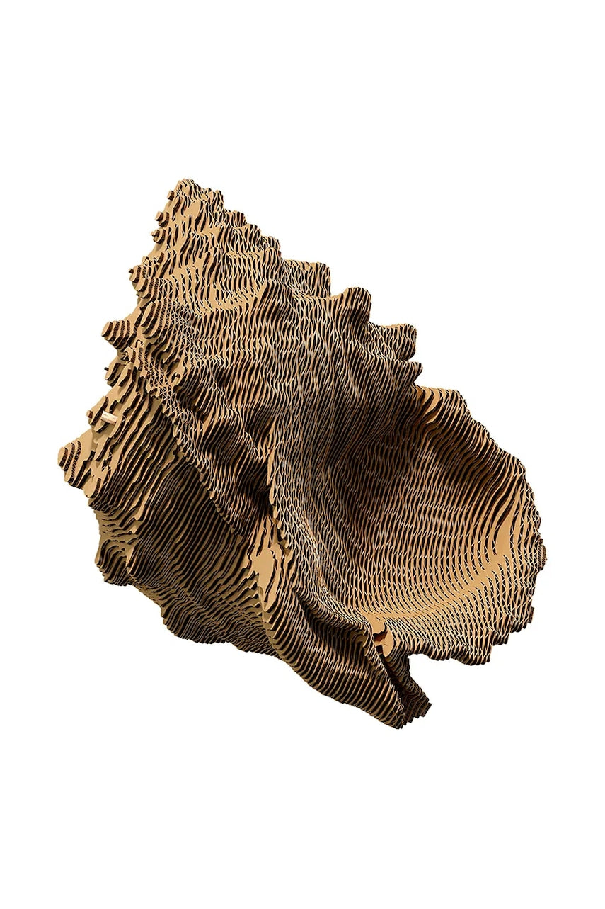 3d puzzle Cartonic Shell