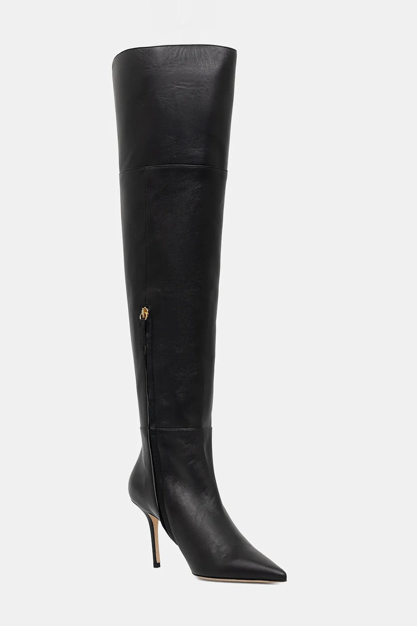 Kožne čizme Elisabetta Franchi boja: crna, s tankom potpeticom, SA04L56E2