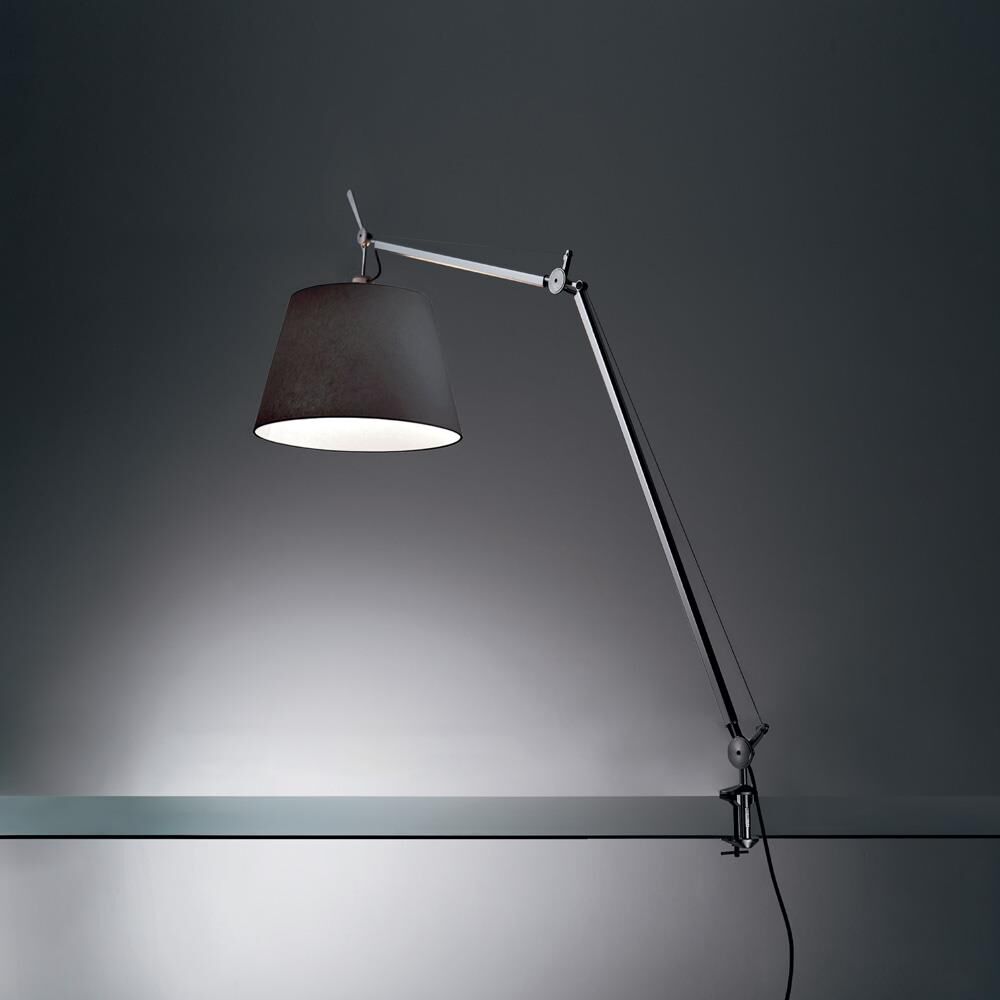 Artemide Michele De Lucchi, Giancarlo Fassina Tolomeo 66 Inch Desk Lamp Tolomeo - TLM2008 - Modern Contemporary