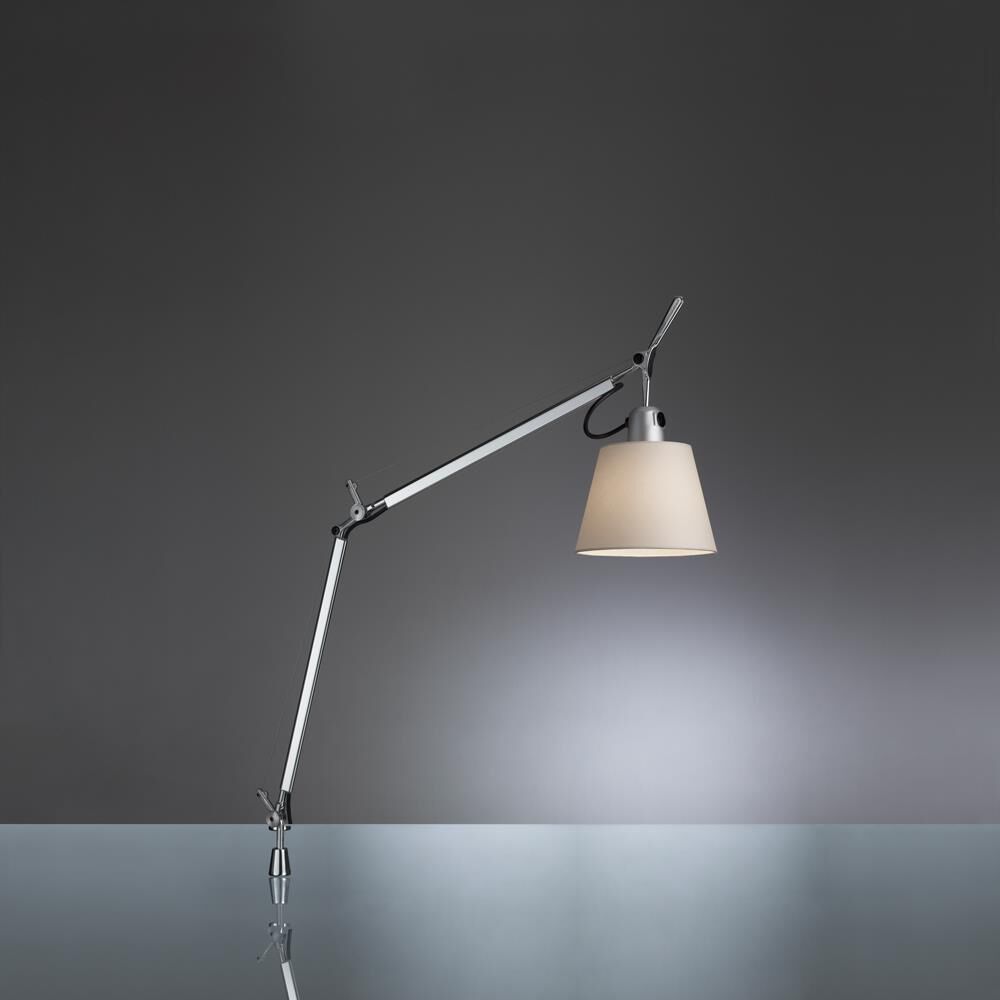 Artemide Michele De Lucchi, Giancarlo Fassina Tolomeo 29 Inch Desk Lamp Tolomeo - TLS0004 - Modern Contemporary