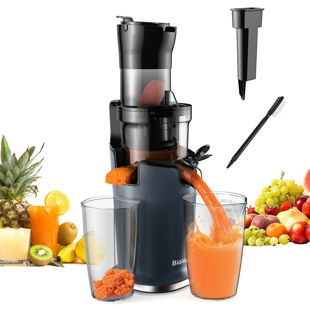 BioloMix SJ-017 Cold Press Juicer