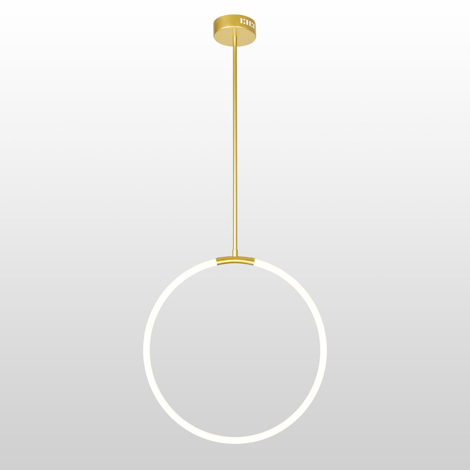 CWI Lighting Hoops Large Pendant Hoops - 1273P24-1-602 - Modern Contemporary
