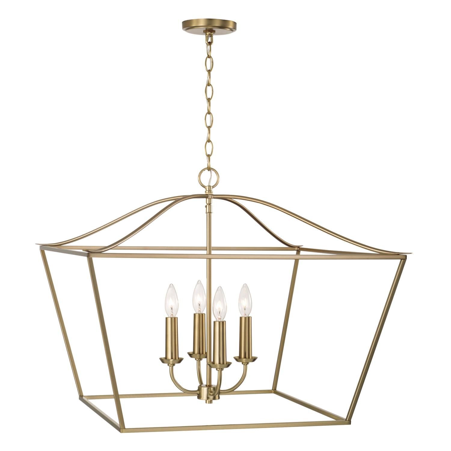 Capital Lighting Fixture Company Grady 38 Inch Cage Pendant Grady - 350641MA - Transitional