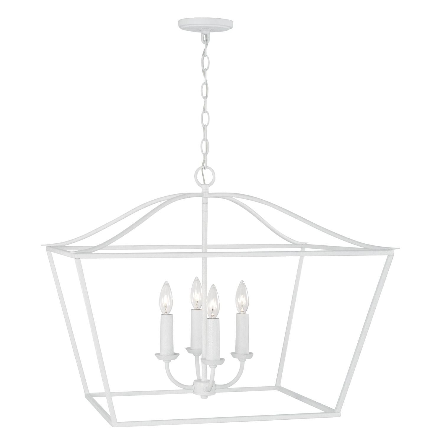 Capital Lighting Fixture Company Grady 38 Inch Cage Pendant Grady - 350641XW - Transitional