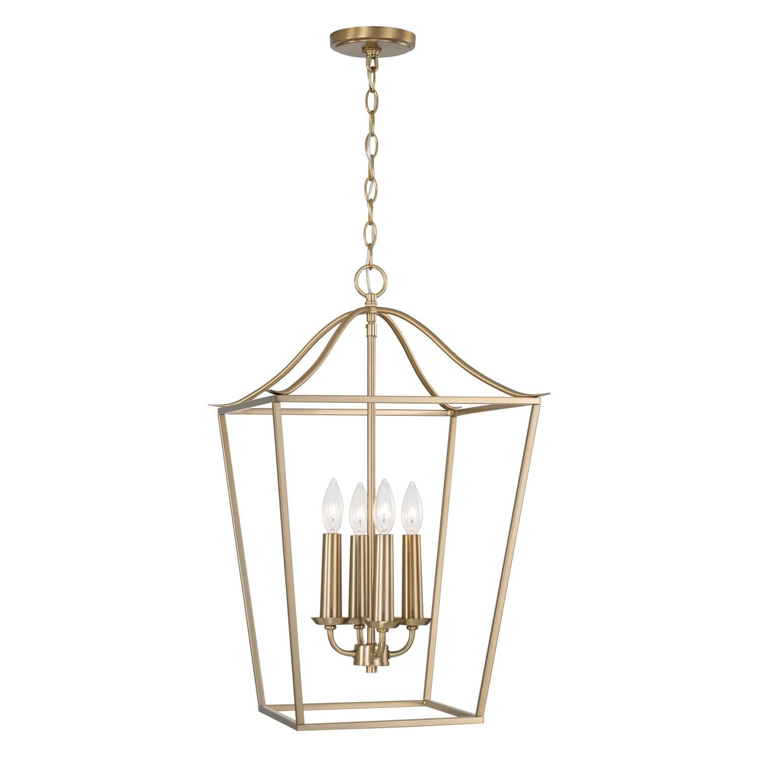 Capital Lighting Fixture Company Grady 22 Inch Cage Pendant Grady - 550641MA - Transitional