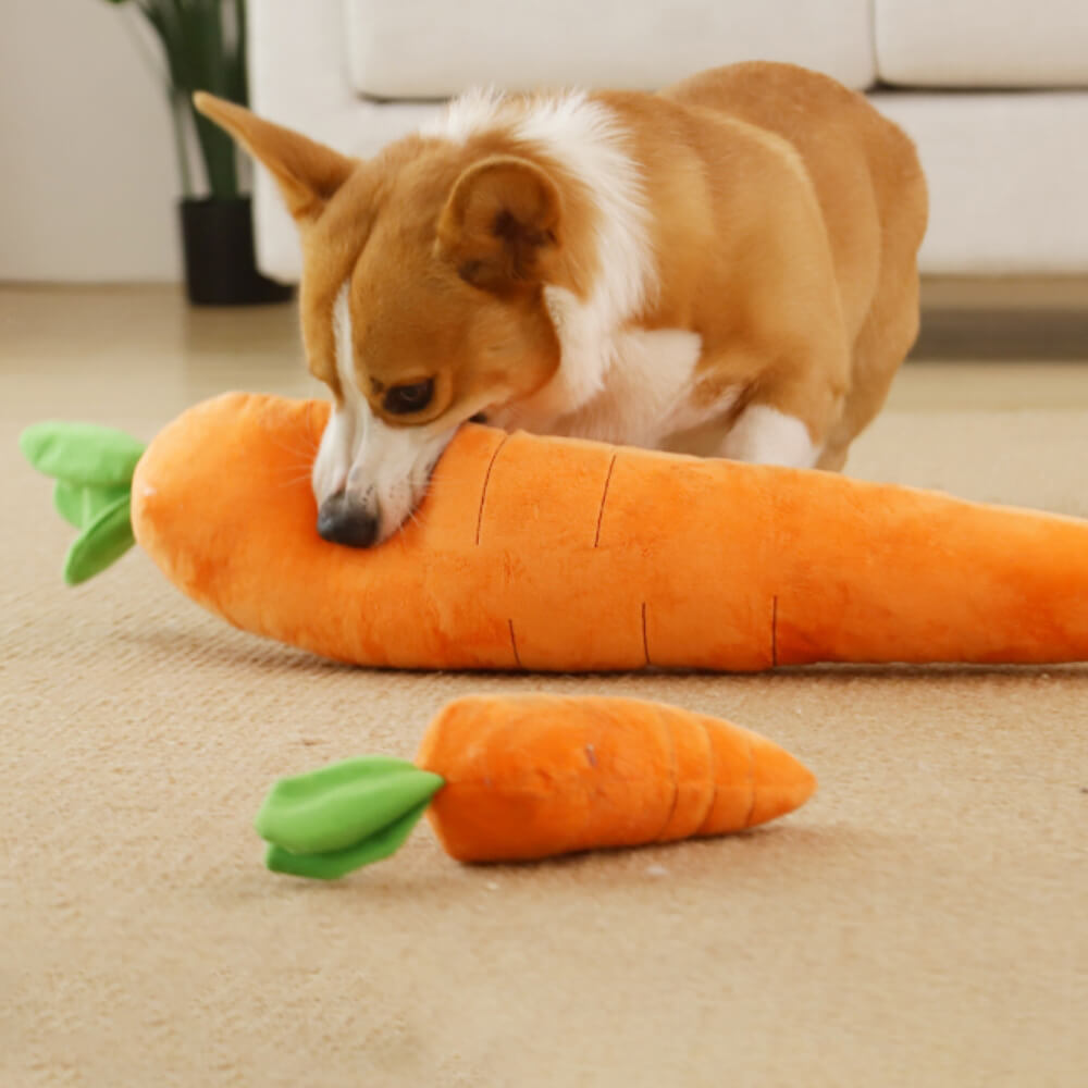 Carrot Squeaky Plush Toy Dog Interactive Toy, M