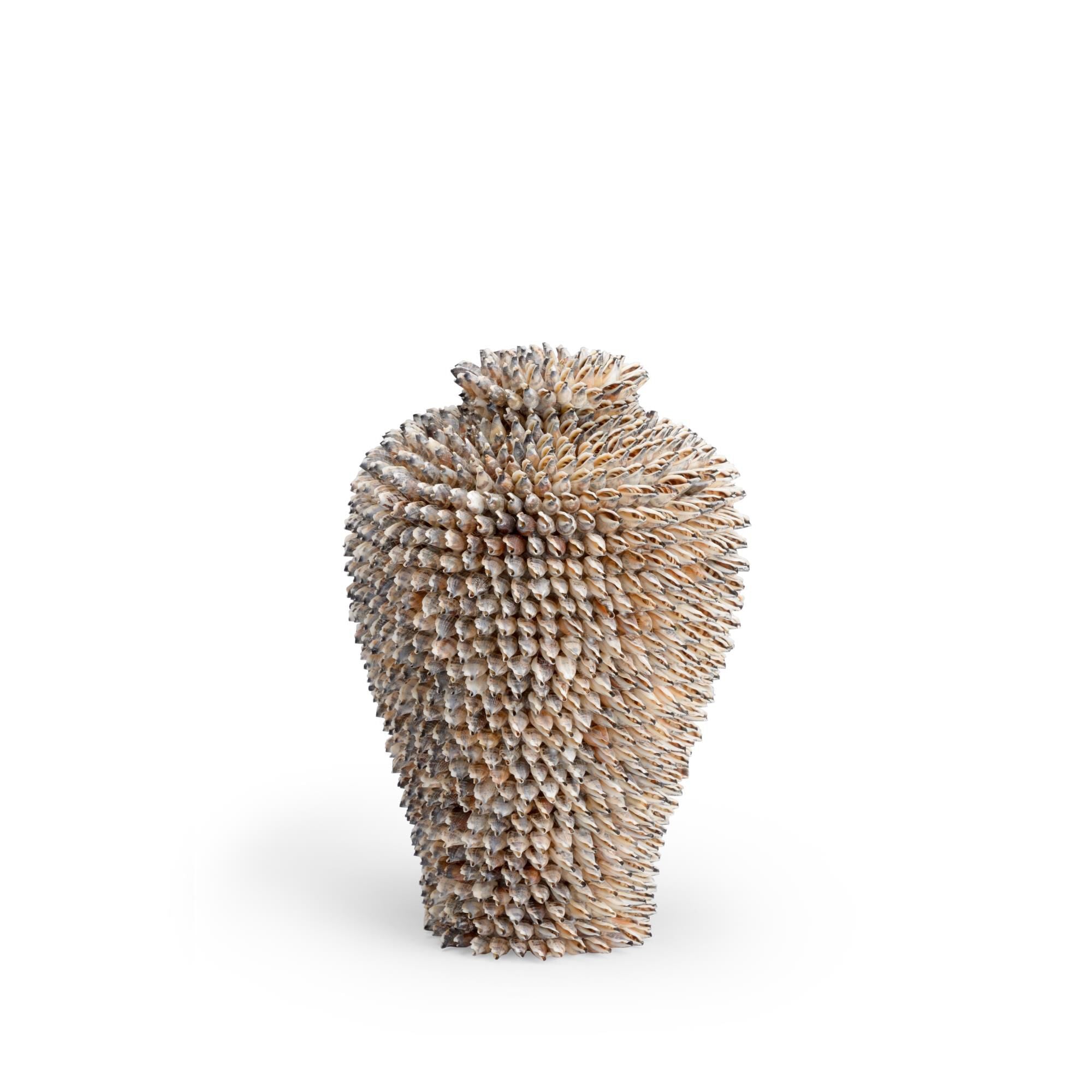 Chelsea House Strombus Vase-Urn Strombus - 383954