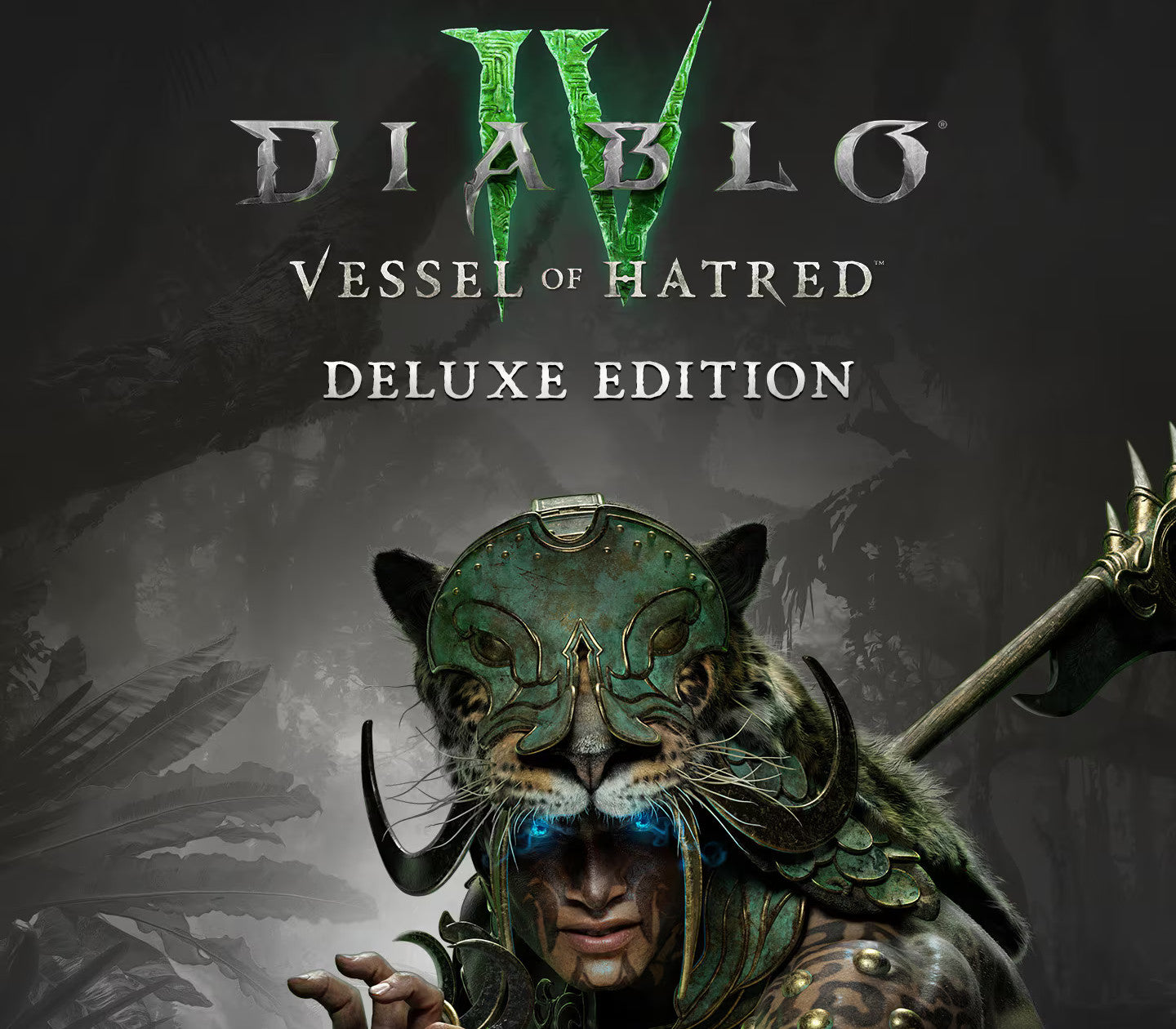 Diablo IV: Vessel of Hatred Deluxe Edition PC Steam Altergift